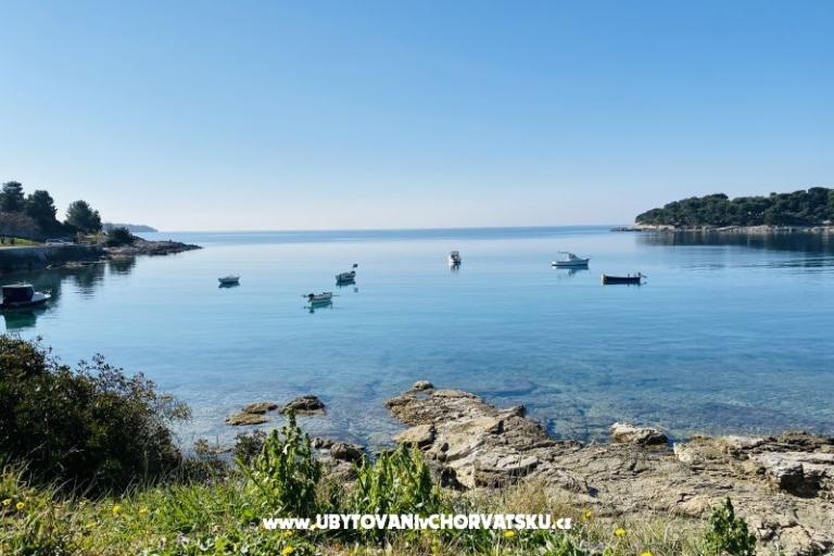 Apartmán Viktorija – foto 5