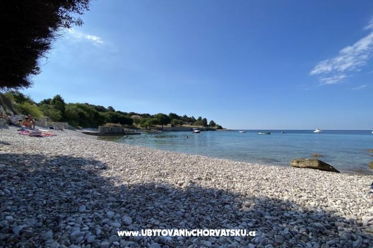 Apartmán Viktorija – foto 6