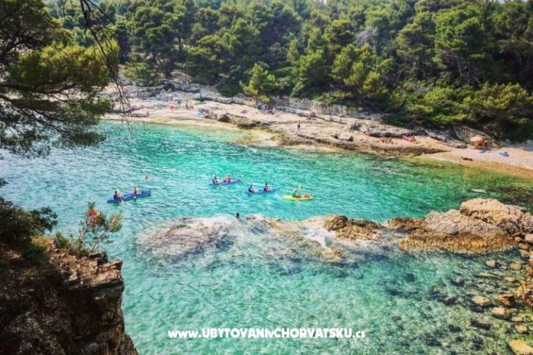 Apartmán Viktorija – foto 8