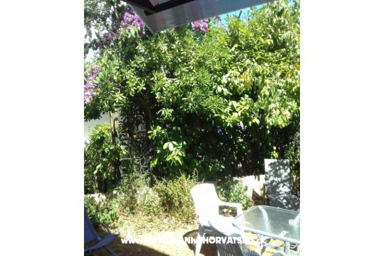 Apartmán Zora Pula – foto 27