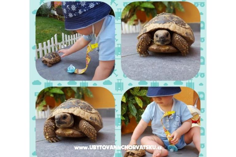 Apartmány Marin – foto 13