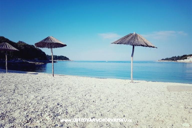 Apartmány Perunika – foto 6