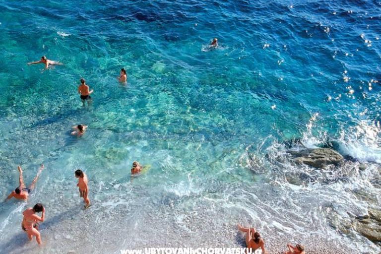 Apartmány s bazénem Jadranka – foto 10