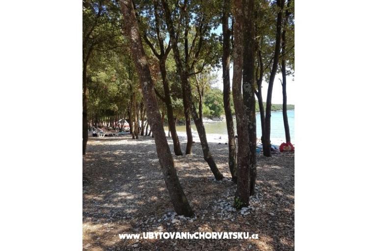 Apartmány Duga Uvala – foto 15