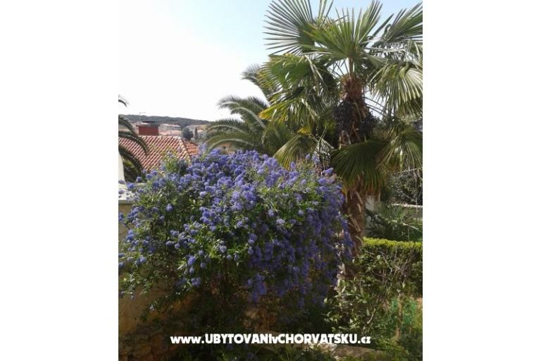 Apartmány Ivana – foto 14