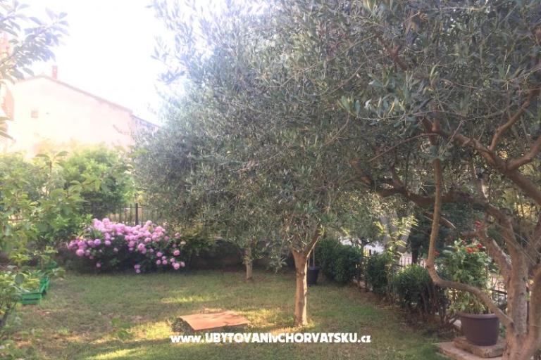 Apartmány Tea – foto 12