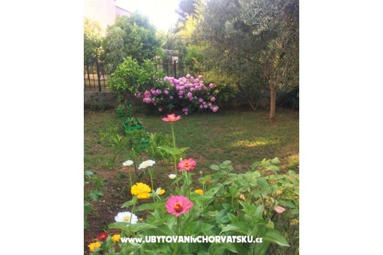 Apartmány Tea – foto 13