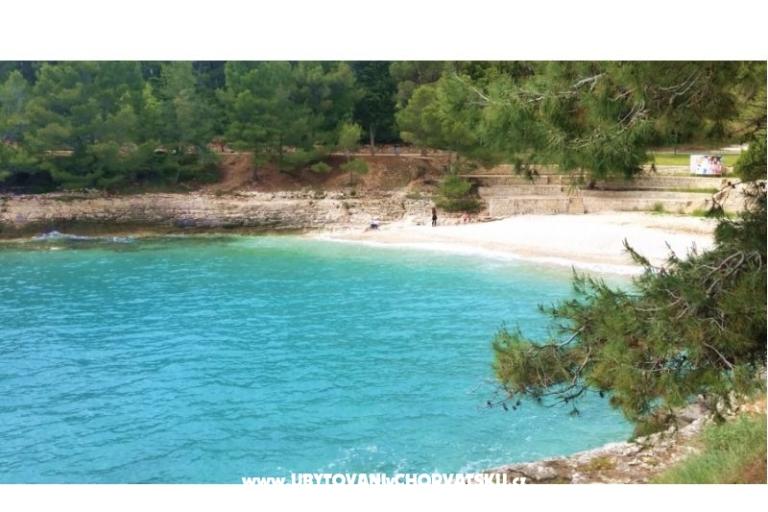 Apartmány Tea – foto 15