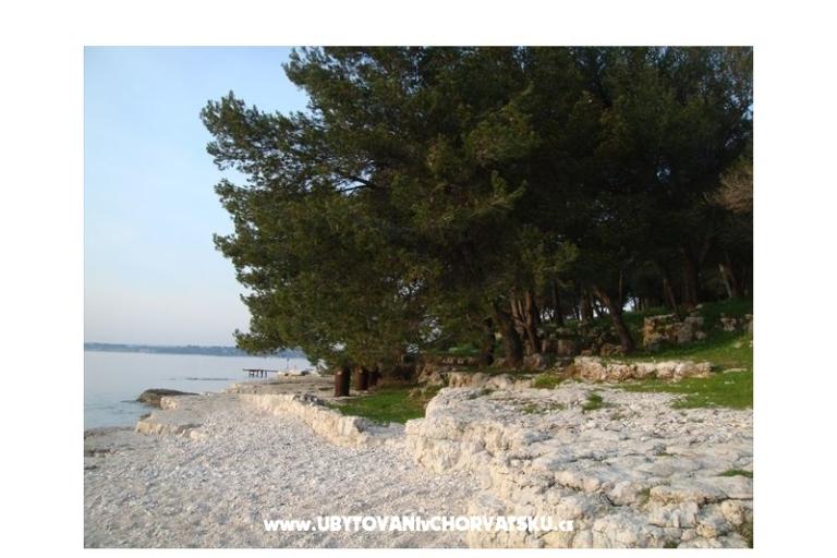 Apartmány Villa Dolores – foto 11