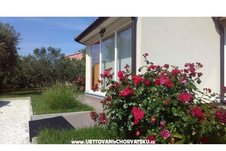 Dům k odpočinku Brcina – foto 7