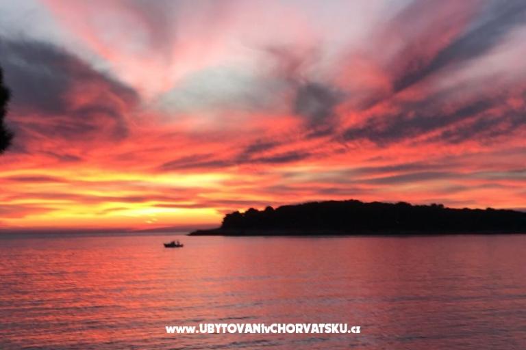 Apartmán Petra – foto 15