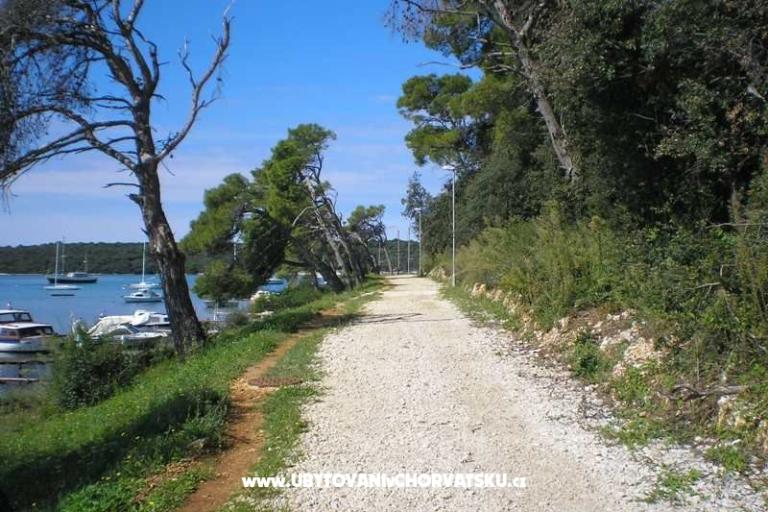 Soukromý dům – foto 14