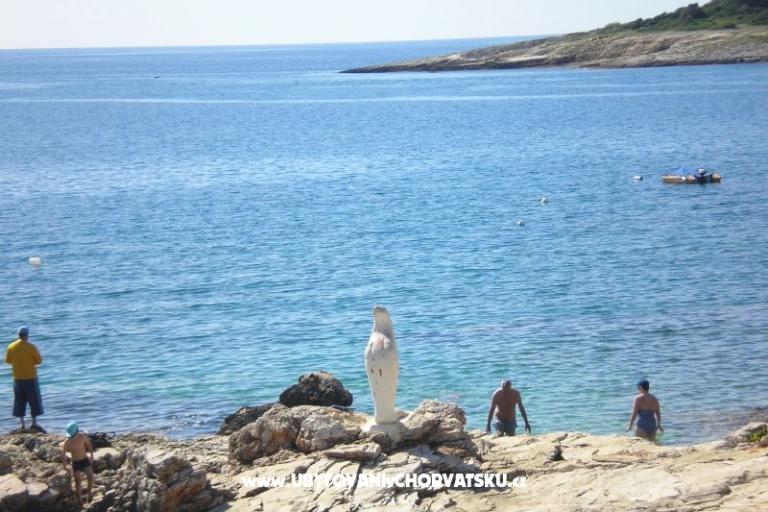 Soukromý dům – foto 15