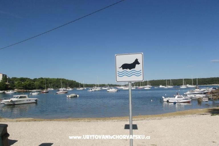 Soukromý dům – foto 18