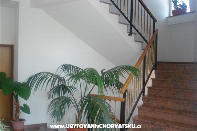 Villa Cukon – foto 2