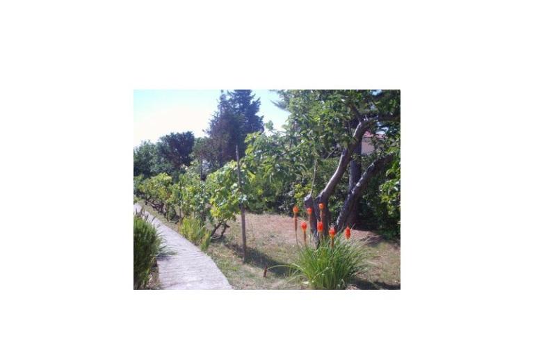 Apartmány Ankica – foto 15