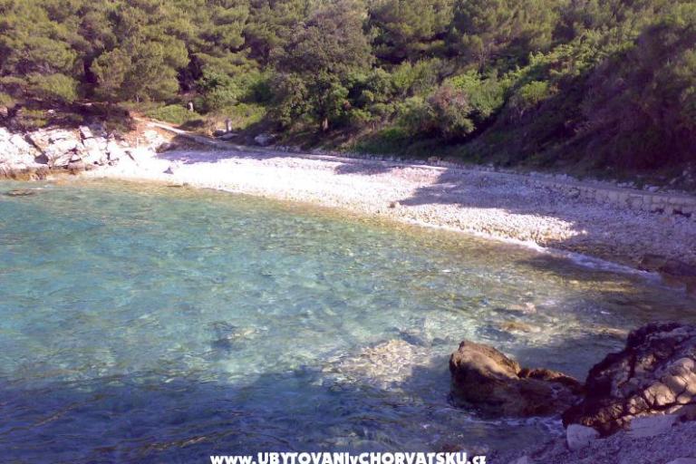 Apartmány Ankica – foto 7