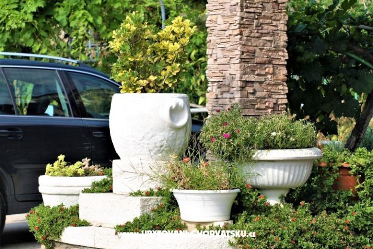 Apartmány Sandra – foto 12