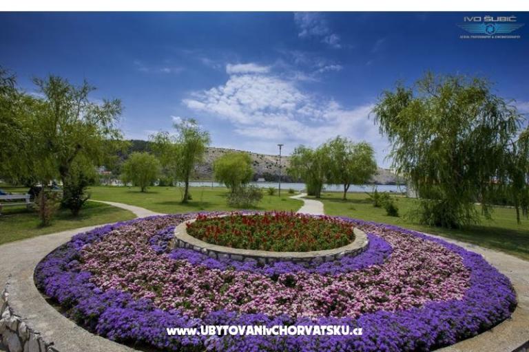 Apartmány Sandra – foto 2