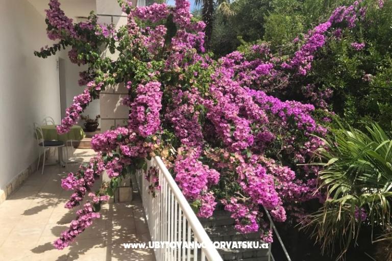 Apartmány  Španjol – foto 4