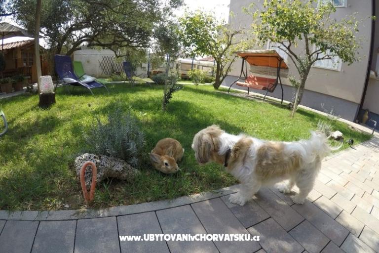 Apartmány- Villa Ilijic – foto 11