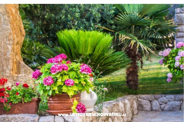 Božena Barčić – foto 18