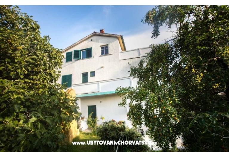 Božena Barčić – foto 2