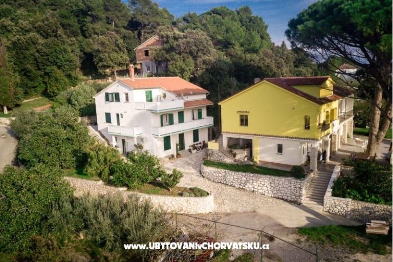 Božena Barčić – foto 3