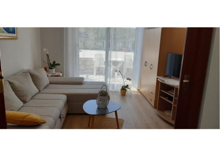 Dům Zorka – foto 18