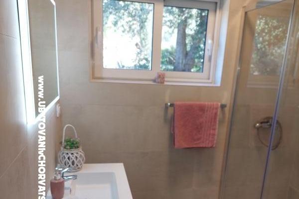 Dům Zorka – foto 19