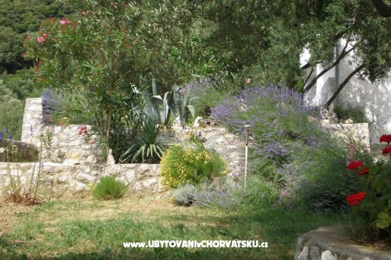 Dům Zorka – foto 9