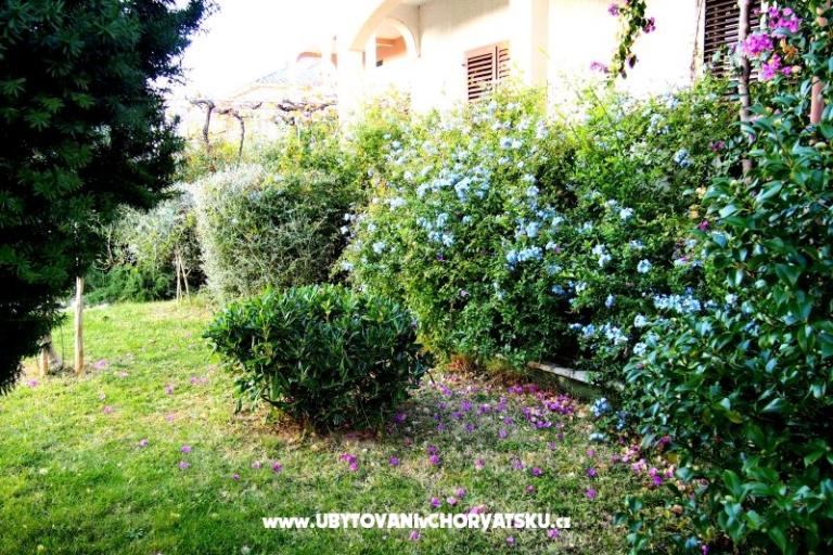 Dům Ivanić – foto 2