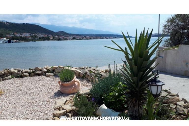 La Gatta Apartmány – foto 13