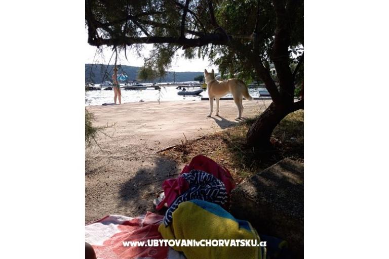 Villa Jagoda – foto 9