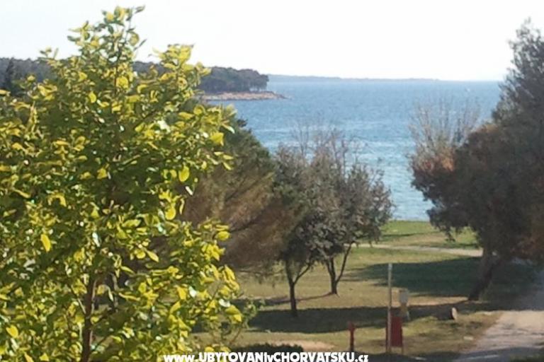 Villa Lolo – foto 9