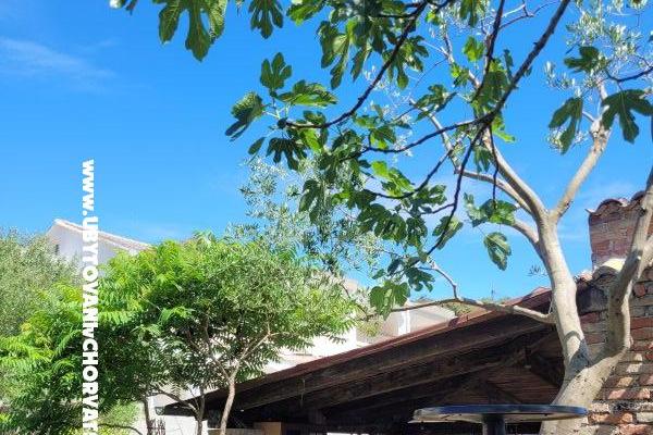 Villa Marija – foto 10