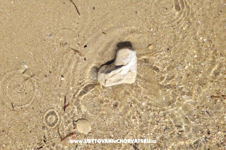 Villa Marija – foto 34