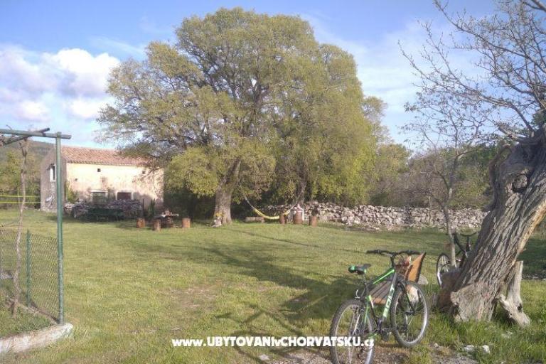 Traditional Istrian Dům ENI – foto 4