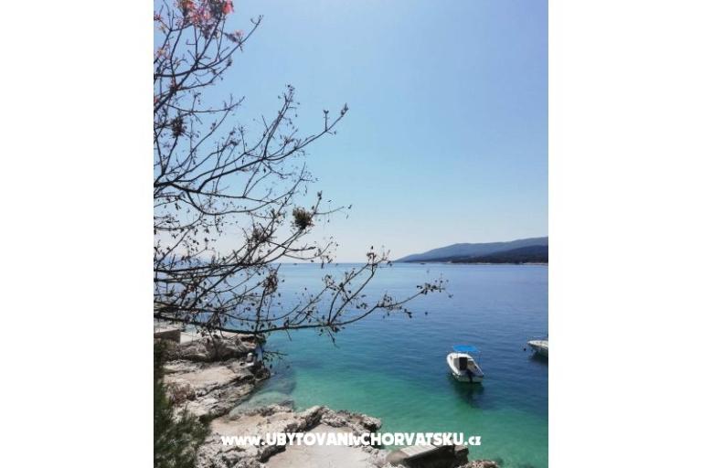 Traditional Istrian Dům ENI – foto 7