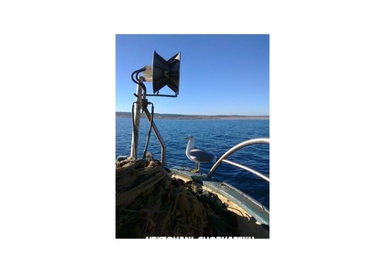 Apartmán Mila – foto 14