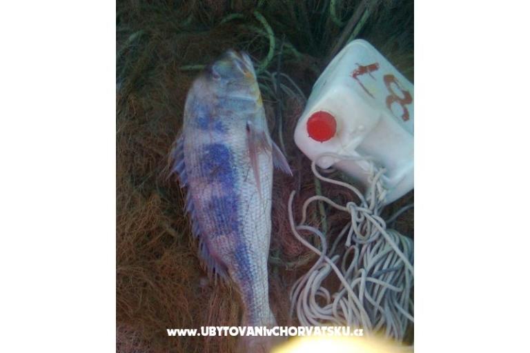 Apartmán Mila – foto 15