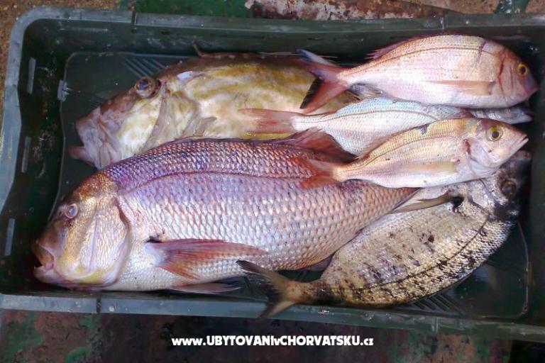 Apartmán Mila – foto 16