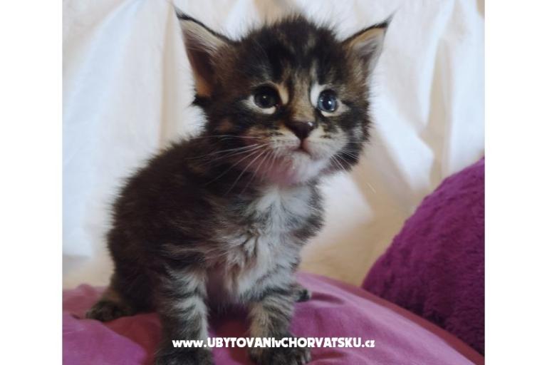 Apartmány CAPE – foto 26