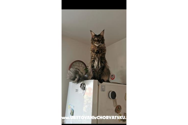 Apartmány CAPE – foto 35