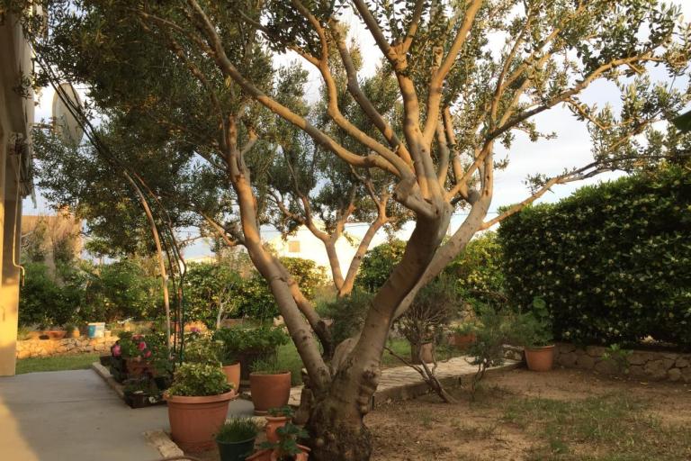 Apartmány Biba i Luce – foto 2