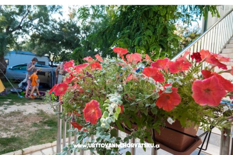 Apartmány Puntica – foto 3