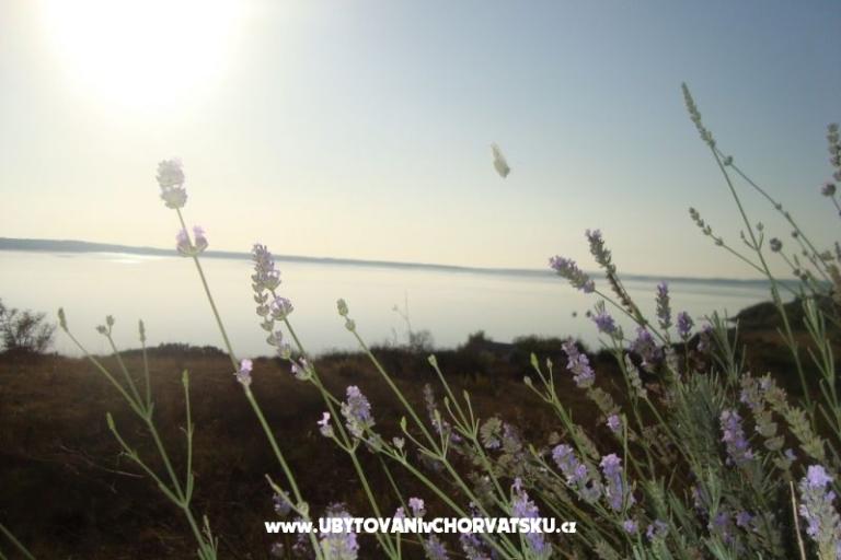 Apartmán Marijan – foto 9