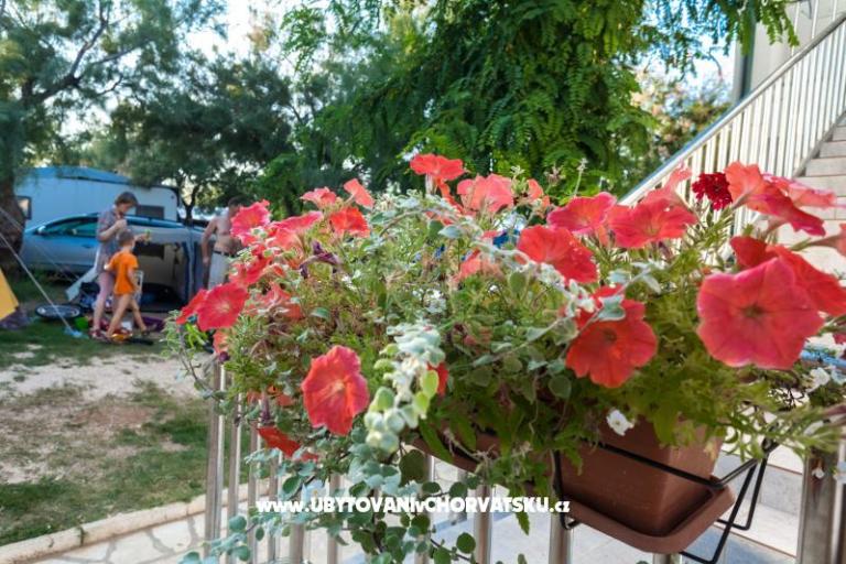 Apartmány Puntica – foto 2