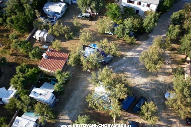 CAMP PUNTICA – foto 3