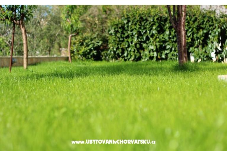  Rajcic apartmani – foto 15